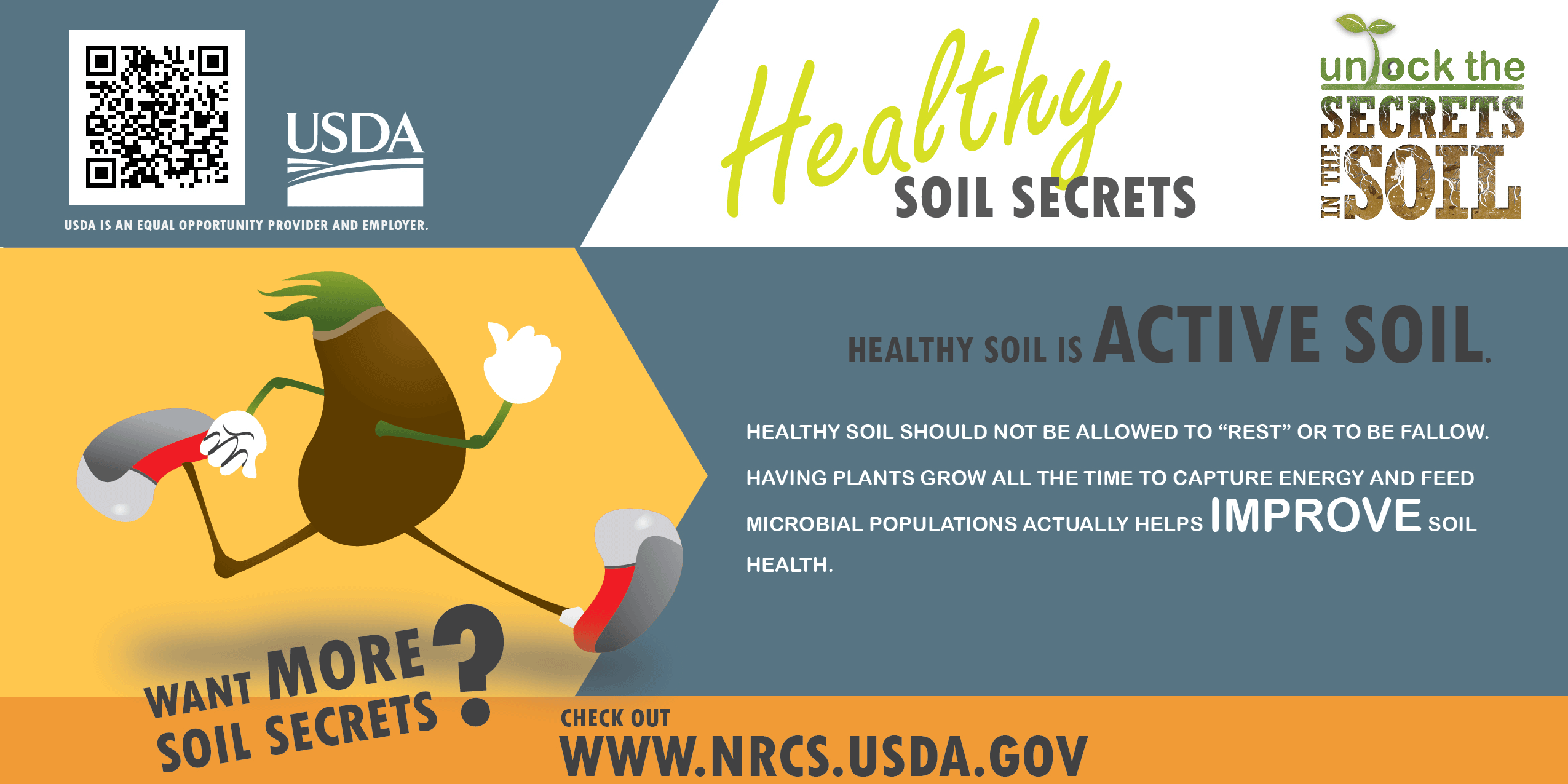info healthy